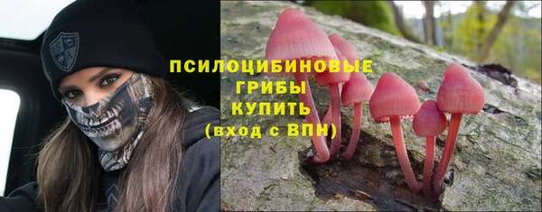 а пвп мука Лиски