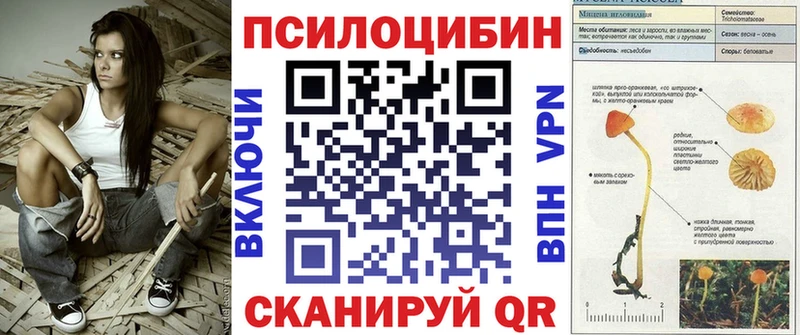 Псилоцибиновые грибы Psilocybe  Купить закладки  Нижние Серги 